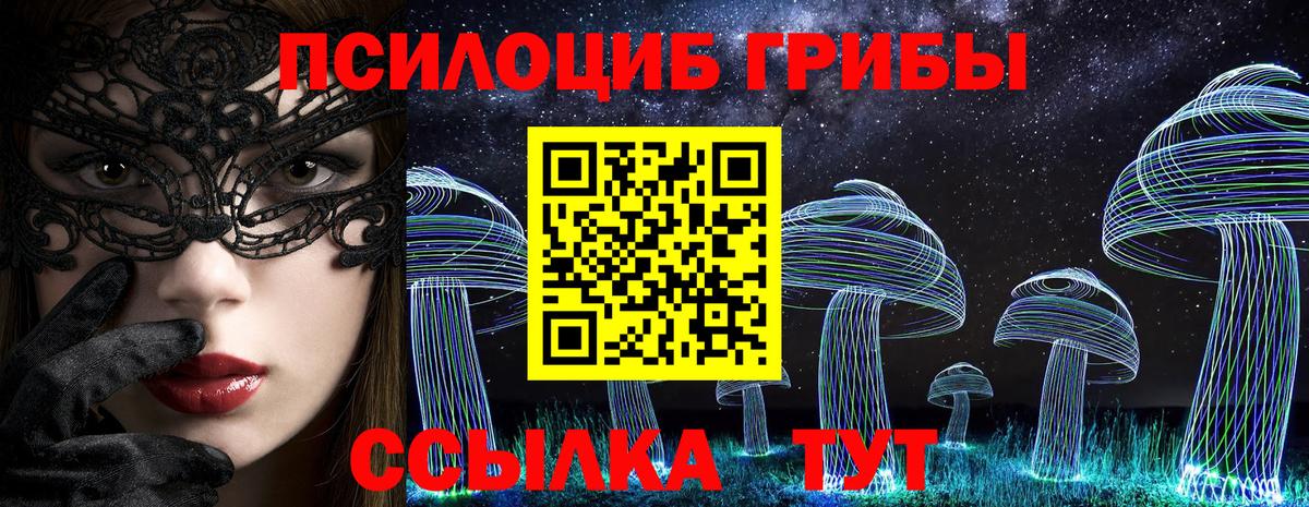 Псилоцибиновые грибы прущие грибы Кузнецк