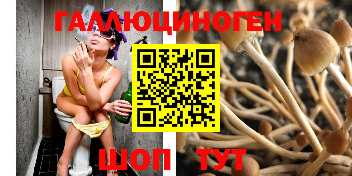 Галлюциногенные грибы мицелий  Вход с VPN  Кузнецк 